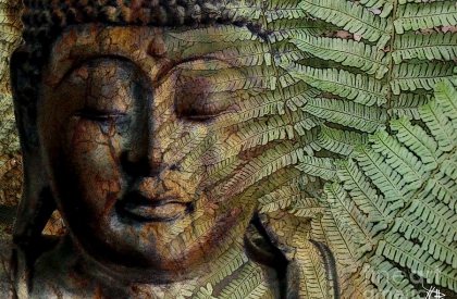 [Phật pháp - Tâm linh] Bàn về Phước và Họa - cách đề nuôi dưỡng Phước dày và tiêu trừ bớt Họa